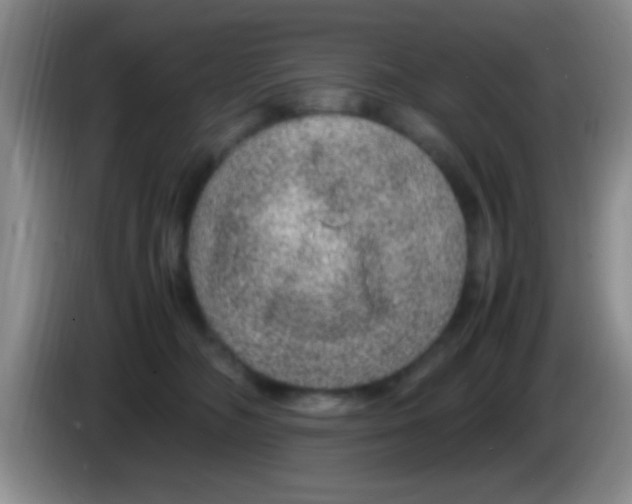 X0000083580326200703091704