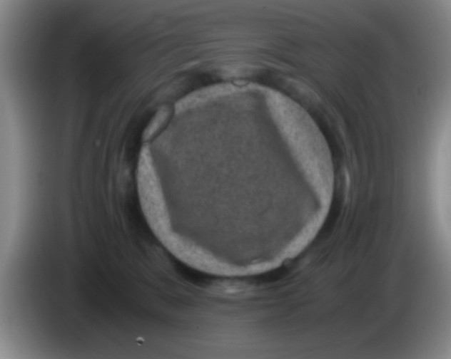X0000083580327200703091703