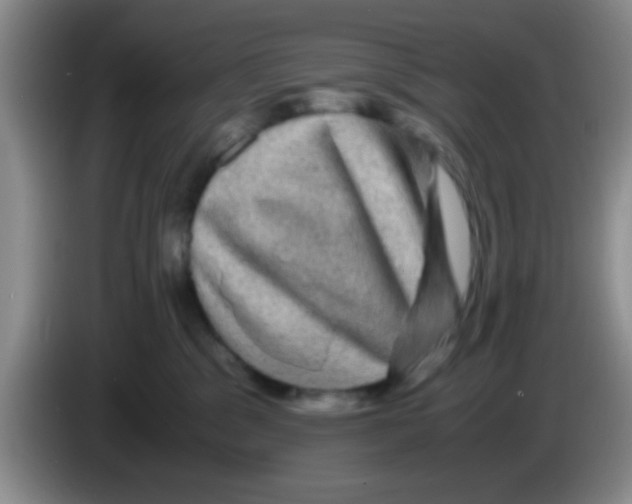 X0000083580329200703091703