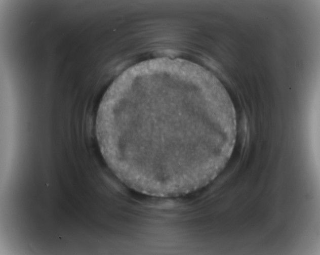 X0000083580330200703091703