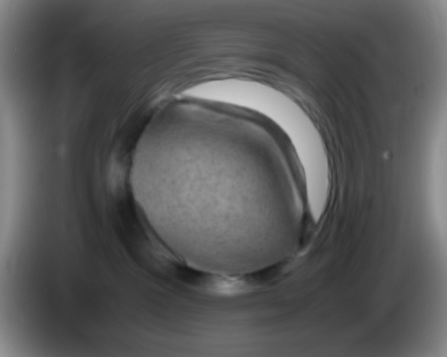 X0000083580333200703091703