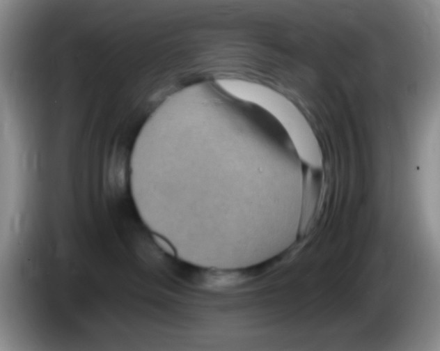 X0000083580334200703091703