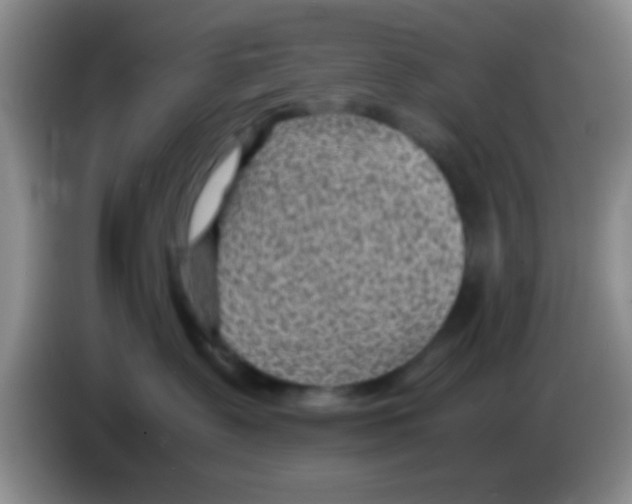 X0000083580335200703091703