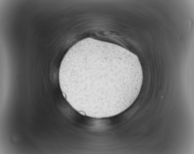 X0000083580336200703091703