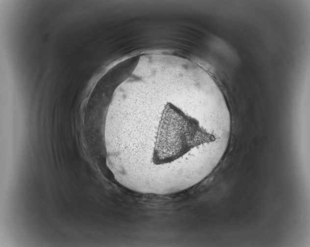 X0000083580337200703091703