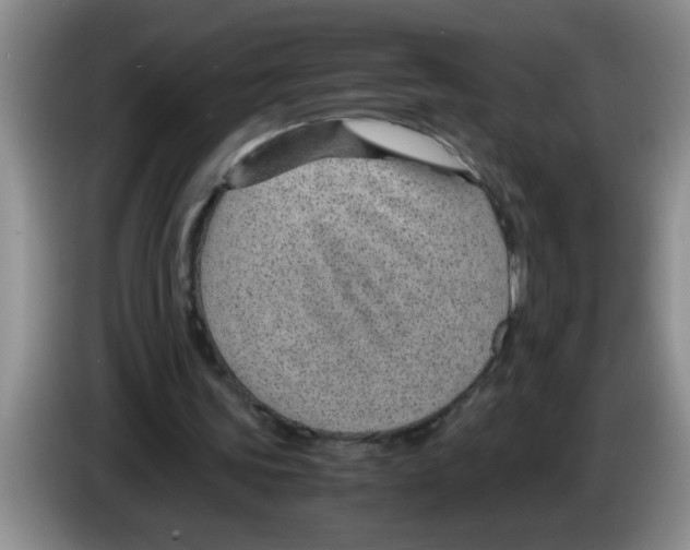 X0000083580339200703091703