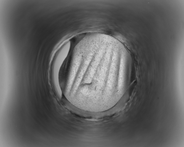 X0000083580340200703091703