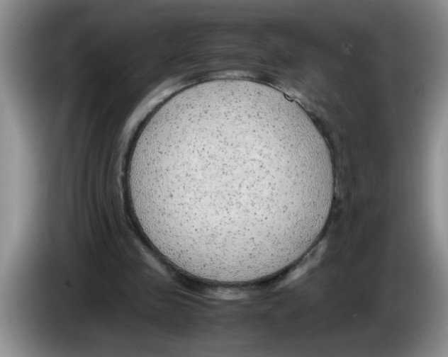 X0000083580341200703091703
