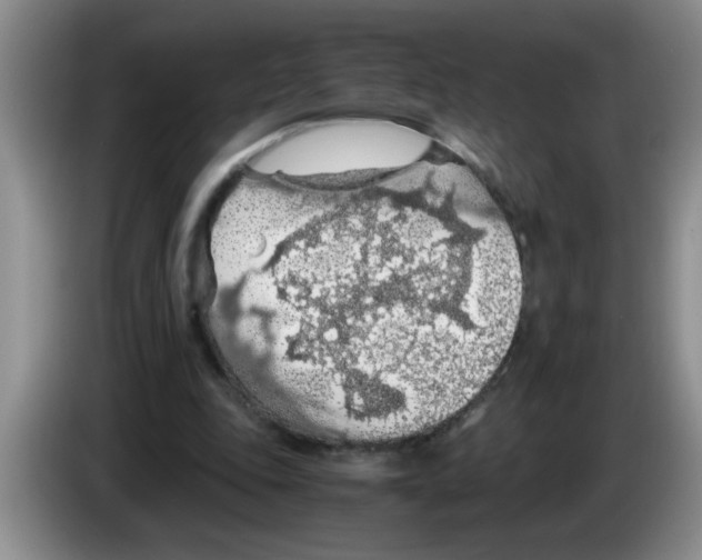 X0000083580343200703091703