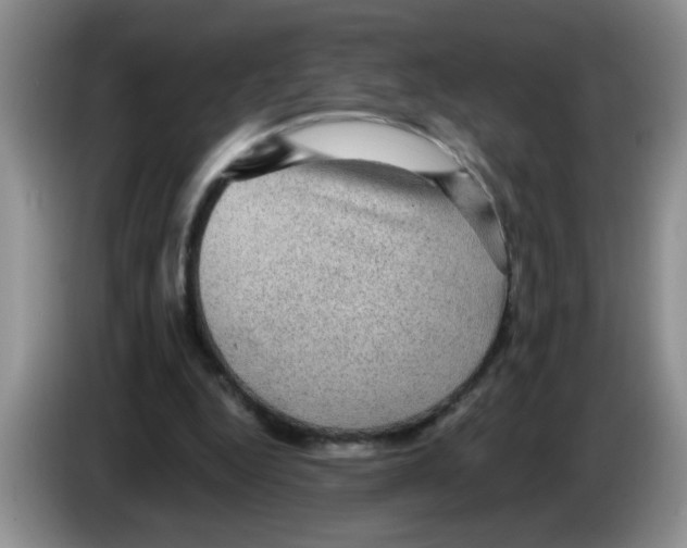 X0000083580344200703091703