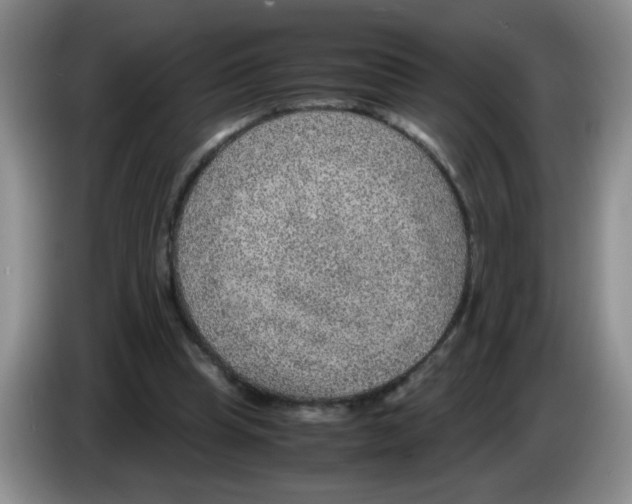 X0000083580345200703091703