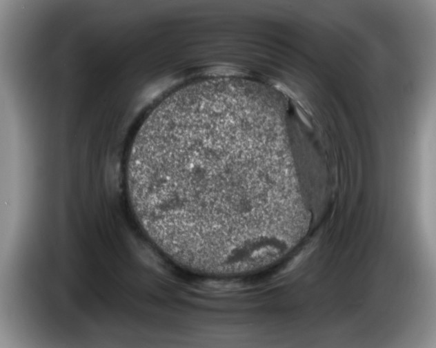 X0000083580351200703091703