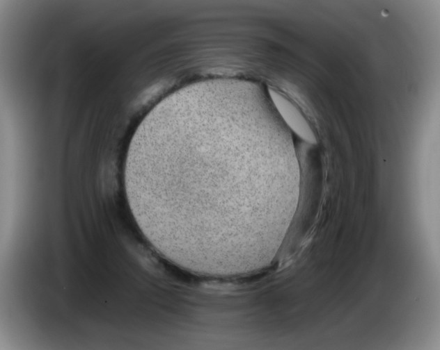 X0000083580354200703091703
