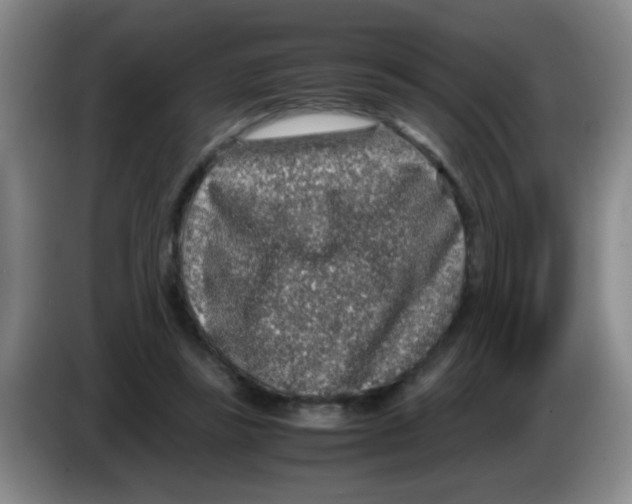 X0000083580355200703091703