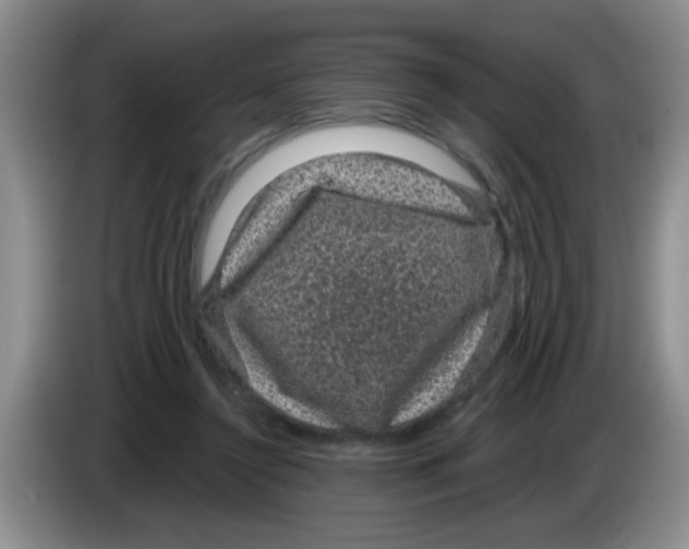 X0000083580356200703091703