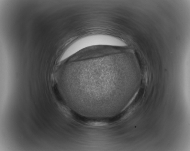 X0000083580360200703091703