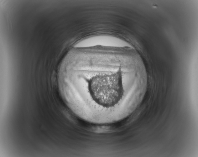 X0000083580361200703091703