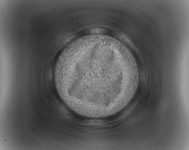 X0000083580363200703091703