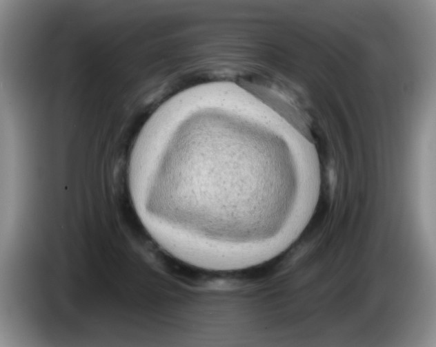 X0000083580364200703091703