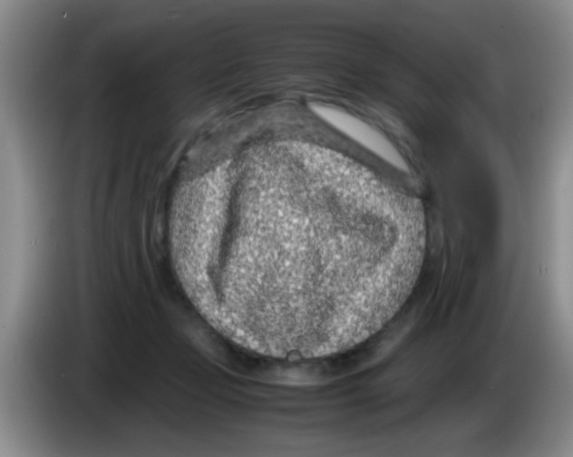 X0000083580365200703091703