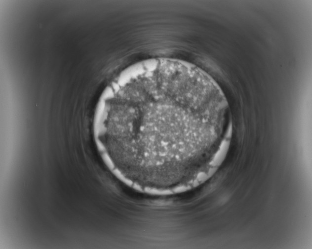 X0000083580366200703091703