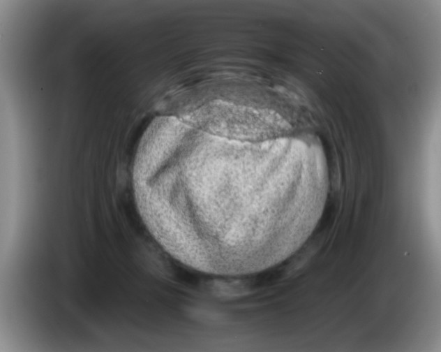 X0000083580367200703091703