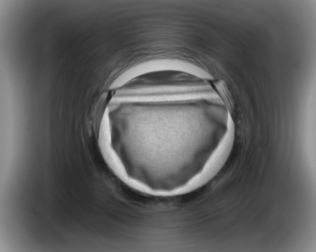 X0000083580368200703091703