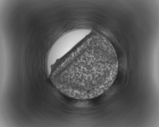 X0000083580369200703091703