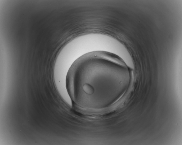 X0000083580370200703091703