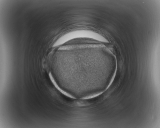 X0000083580372200703091703