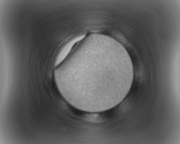X0000083580374200703091703