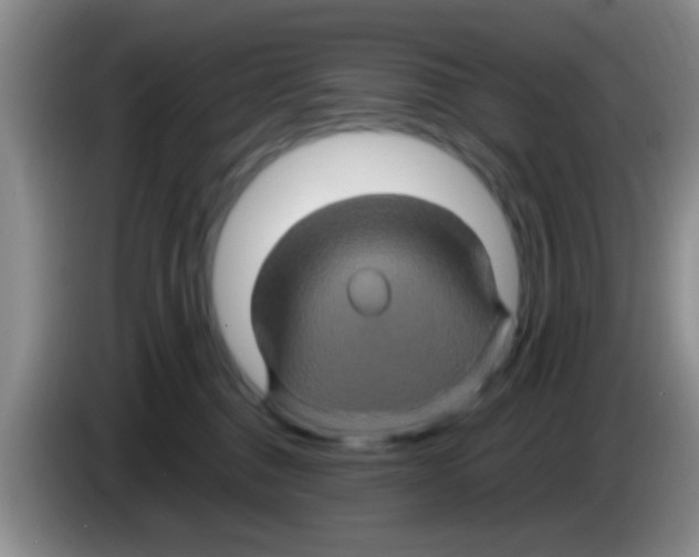 X0000083580376200703091703