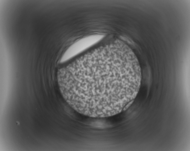 X0000083580377200703091703