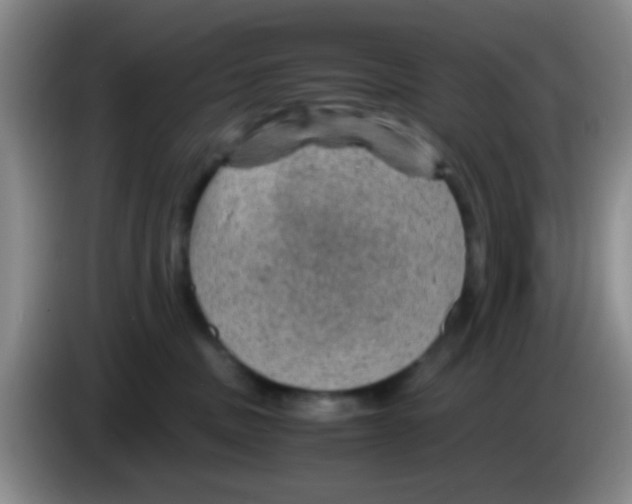 X0000083580379200703091703