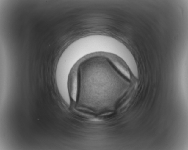 X0000083580380200703091703