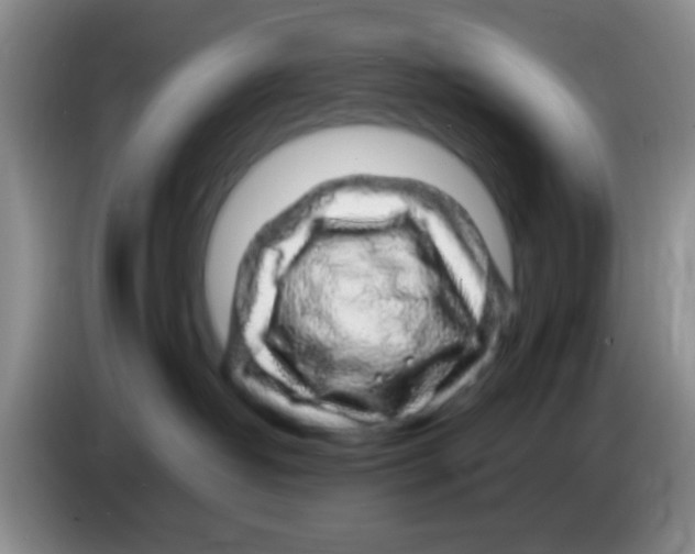 X0000083580382200703091703