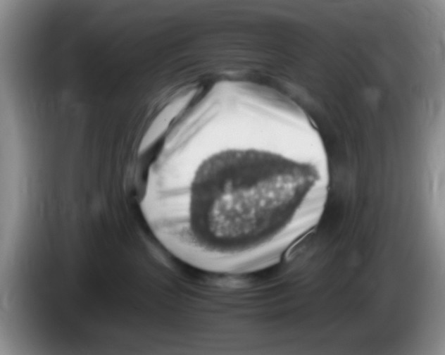 X0000083580383200703091703