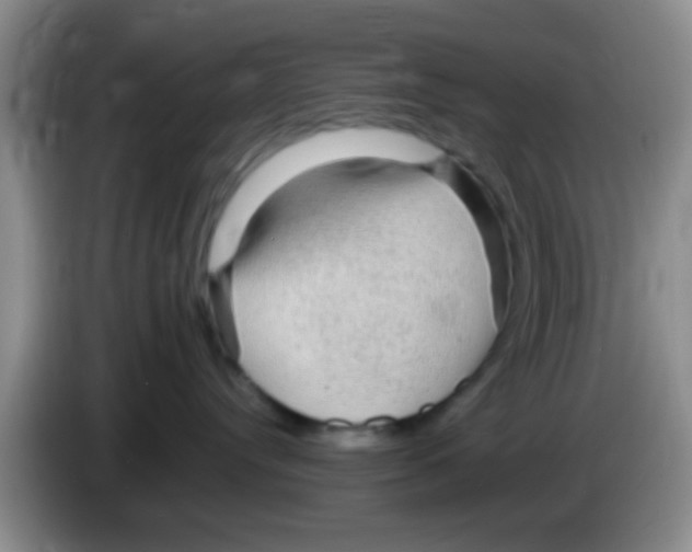 X0000083580384200703091703