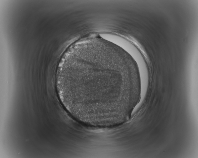 X0000083580385200703091703