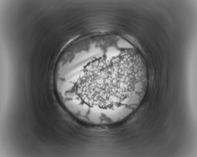 X0000083580386200703091703