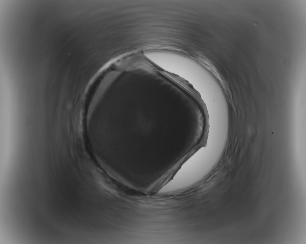 X0000083580387200703091703