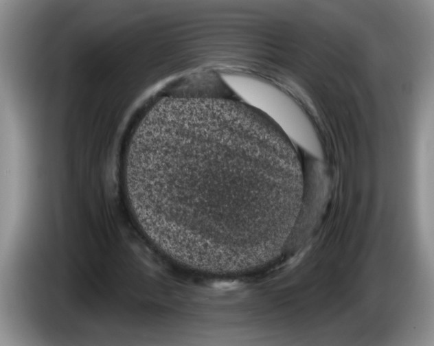 X0000083580388200703091703