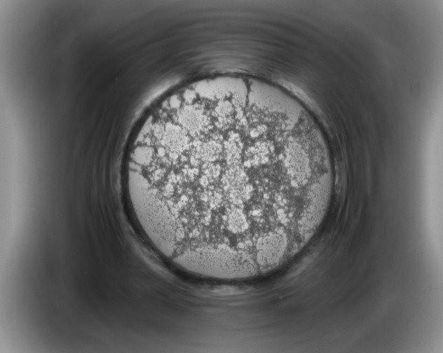 X0000083580390200703091703