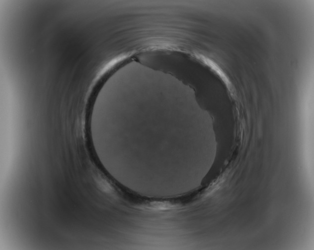 X0000083580391200703091703