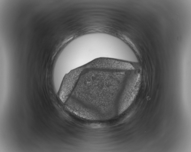 X0000083580394200703091703