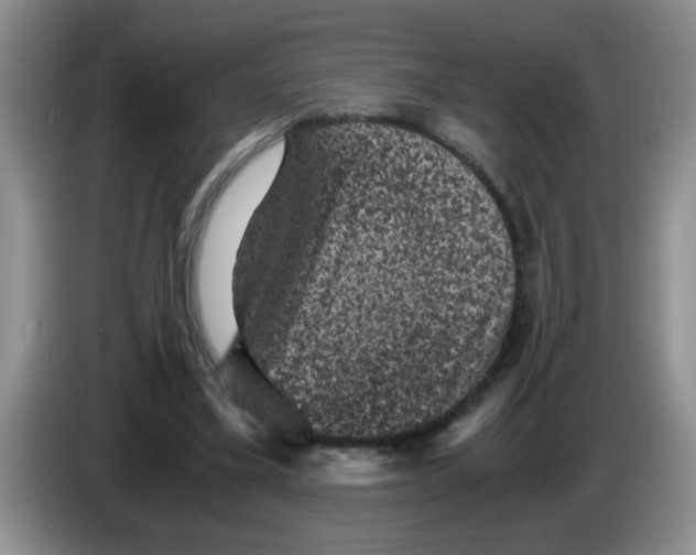 X0000083580395200703091703