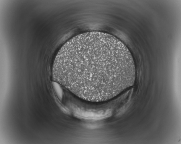 X0000083580397200703091703