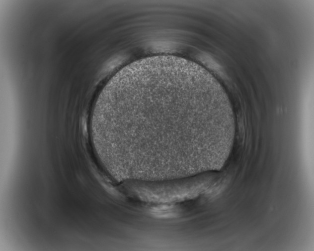 X0000083580398200703091703