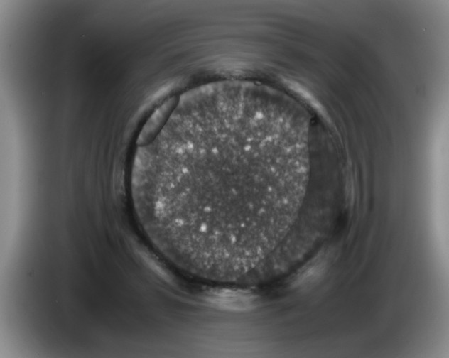 X0000083580399200703091703
