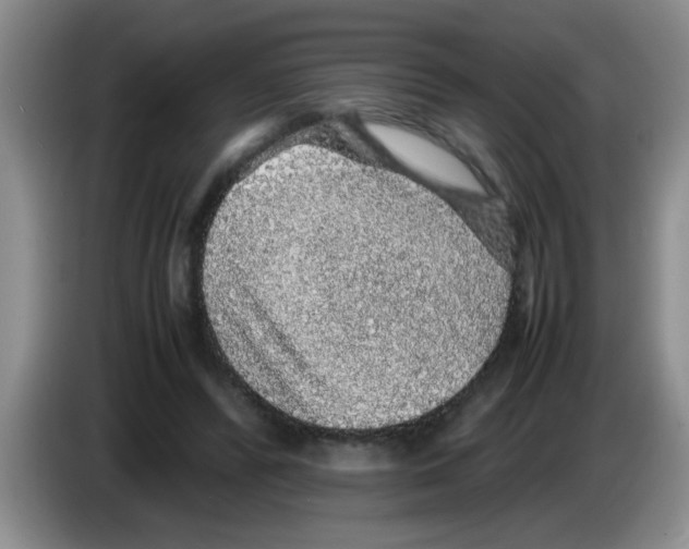 X0000083580400200703091703